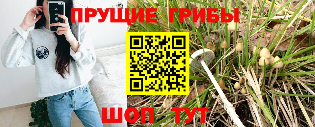 Псилоцибиновые грибы мицелий Кировск